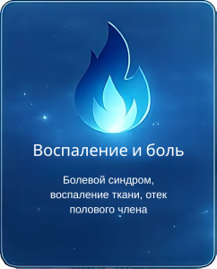 Отек полового члена