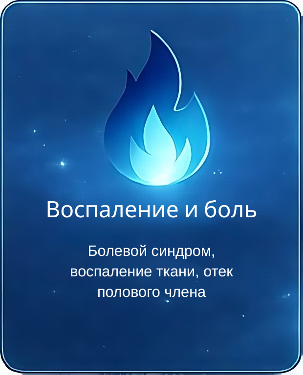 Отек полового члена